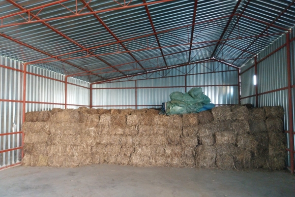 FLASH SALE - Bales of industrial fiber hemp 